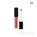 Pigmento personalizado Etiqueta privada Lip Gloss